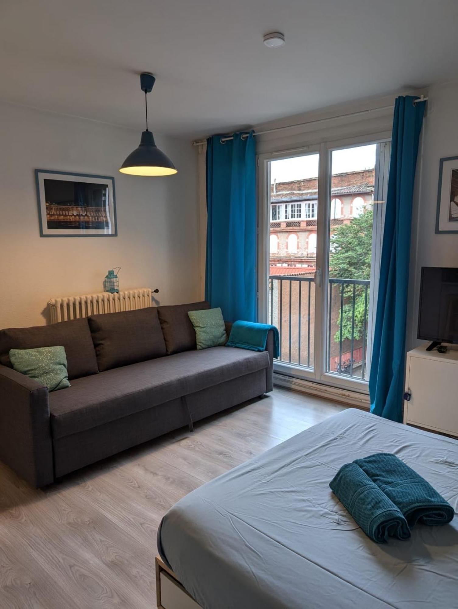 Ombre Bleue Apartment Toulouse Exterior photo